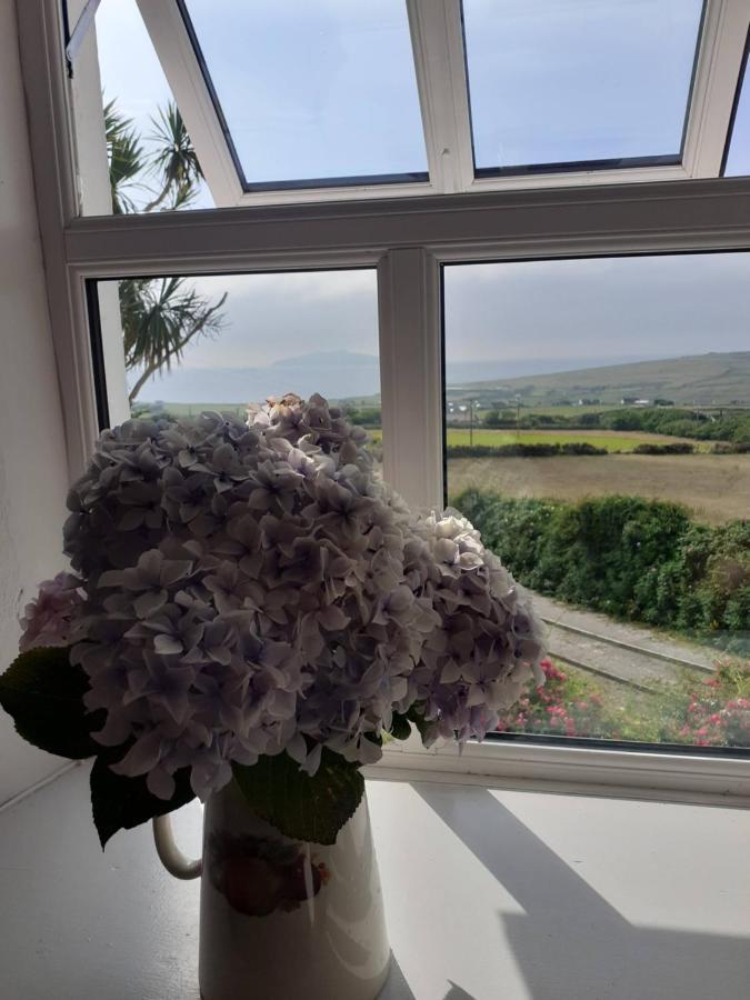 Gleann Loic Farmhouse Dingle Esterno foto