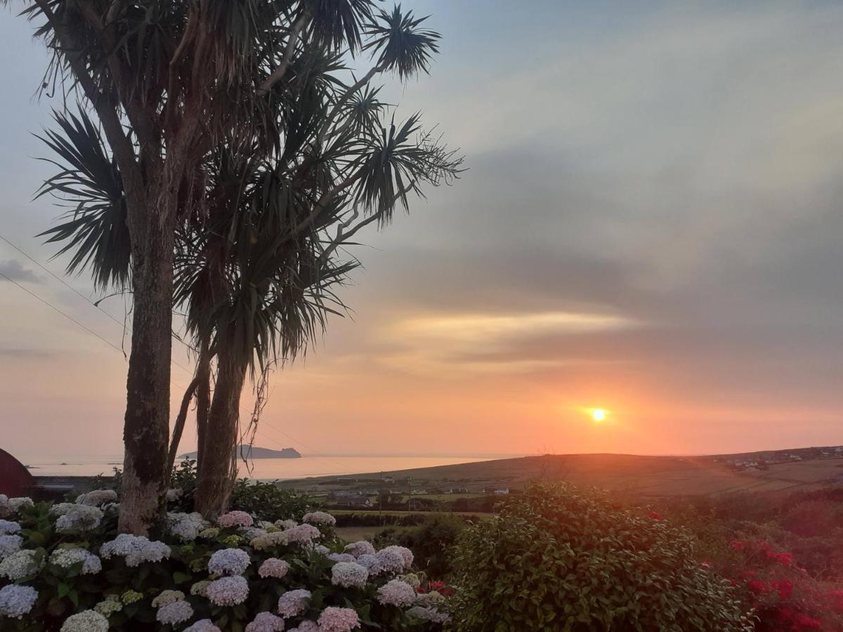 Gleann Loic Farmhouse Dingle Esterno foto