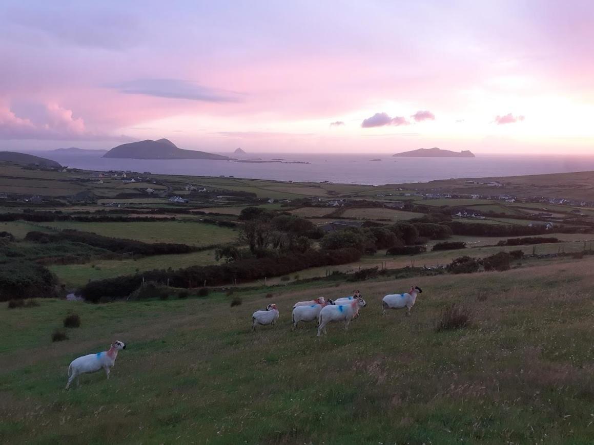 Gleann Loic Farmhouse Dingle Esterno foto
